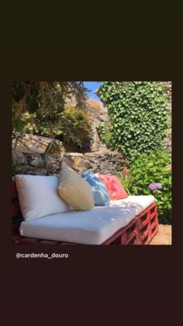 הוילה מסאו פריו Cardenha Do Douro מראה חיצוני תמונה