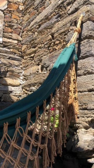 הוילה מסאו פריו Cardenha Do Douro מראה חיצוני תמונה