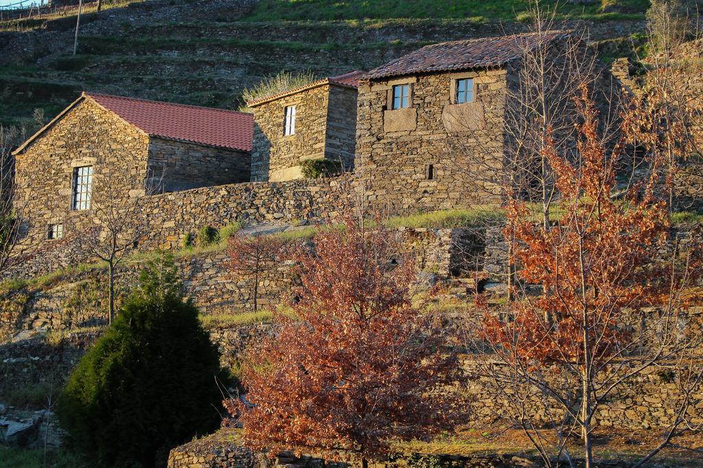 הוילה מסאו פריו Cardenha Do Douro חדר תמונה